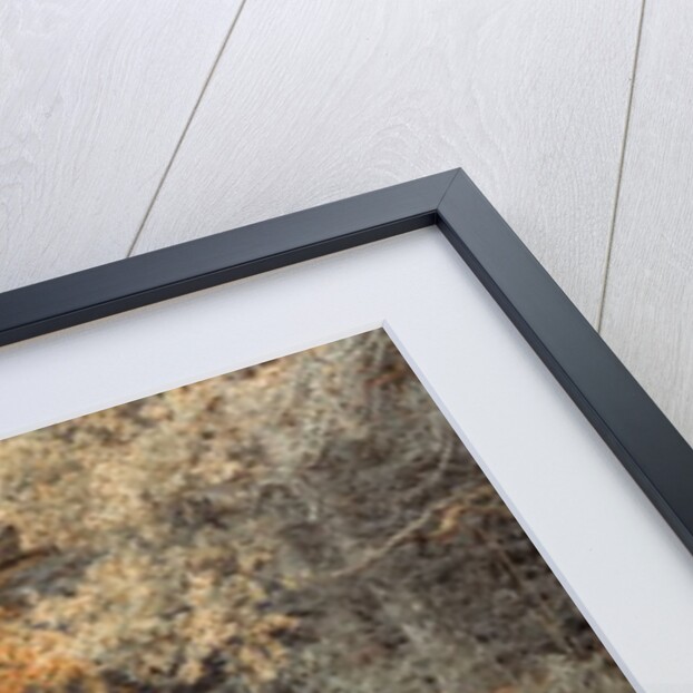 Pathway by canal in Forest by Assaf Frank